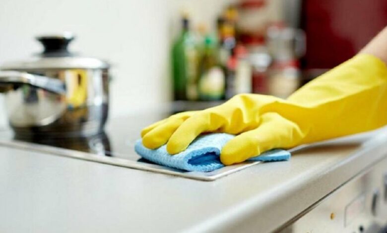 empleo-domestico