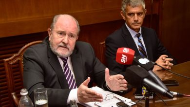 verna-mariano-fernandez