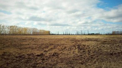 finca-campo-50has-compartos-1da1e272b