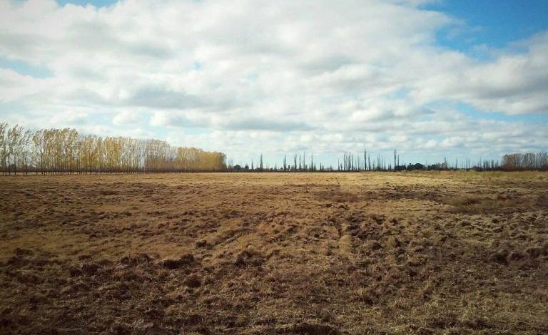 finca-campo-50has-compartos-1da1e272b