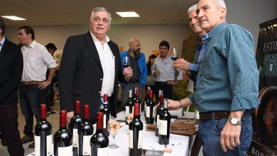 548362_apn-vinos-de-la-pampa-07