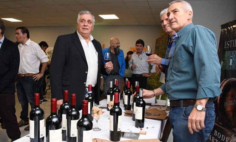 548362_apn-vinos-de-la-pampa-07