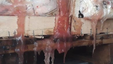 carne-hielo