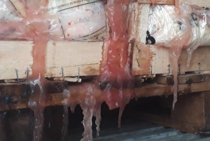 carne-hielo