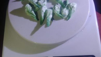 droga-25-4