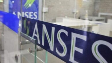 Ansesb1c8a6b6