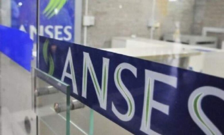 Ansesb1c8a6b6