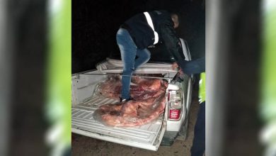 carne-puente2