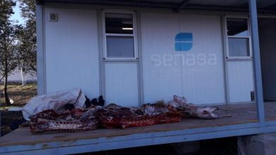 carne 938x528