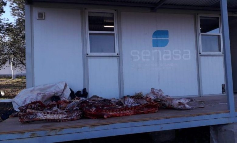 carne 938x528