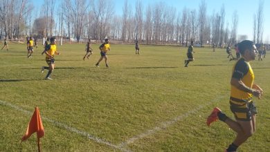 crc dinos recgional cordillerano 19