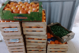 fruta 225kg