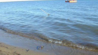 lago sgto ocon2
