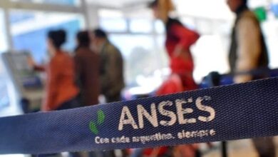 anses 1