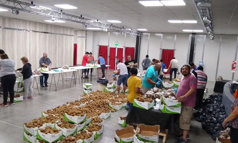 SENASA DECOMISO KIWI Y EL VIERNES SERÁN DISTRIBUIDOS A LA POBLACIÓN DE 25 MAYO EN EL CENTRO CULTURAL