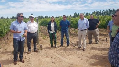 fiesta del vino y recorrida2