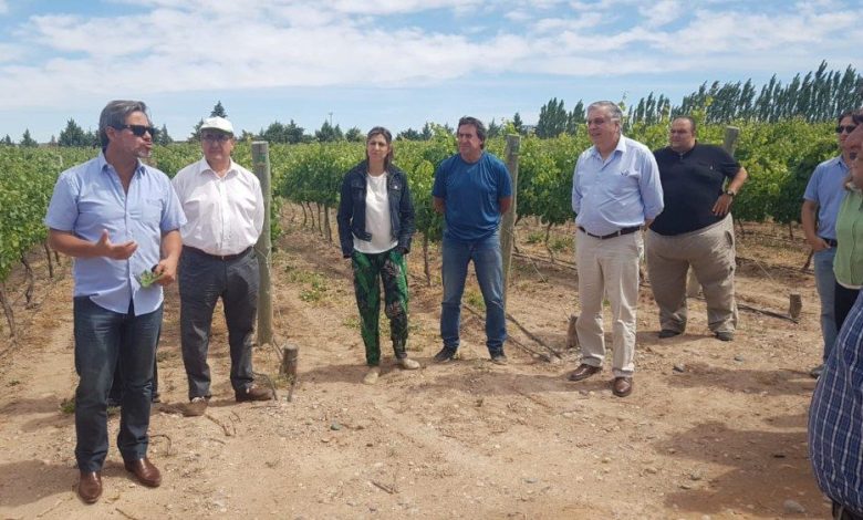 fiesta del vino y recorrida2