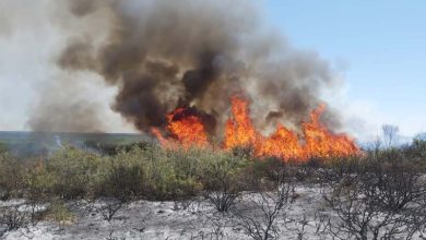 incendio