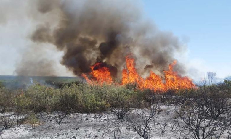incendio