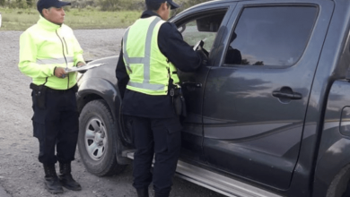 transito25 2 768x750