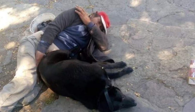 Acusan a indigente de violar perros y ahora también a menores -Video