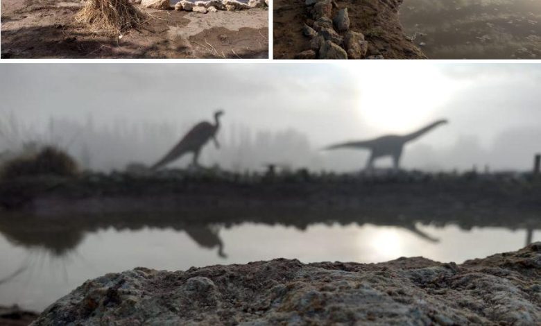 En 25 de Mayo: el Rincón Cretácico que invita a conocer los dinosaurios pampeanos