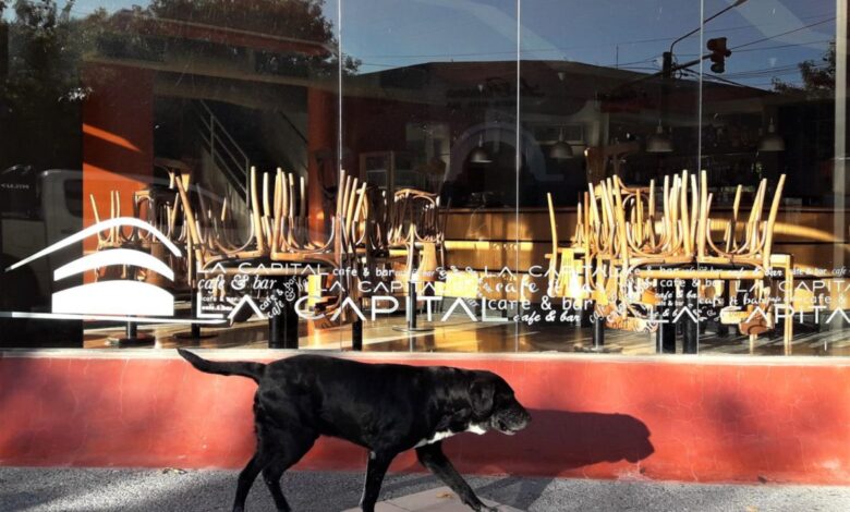 La Pampa-Nuevas restricciones: departamento Capital declarado de Alto Riesgo Epidemiológico