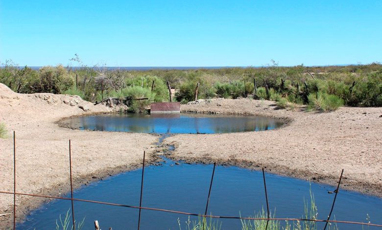 Un oasis productivo en el oeste profundo: hay 53 manantiales