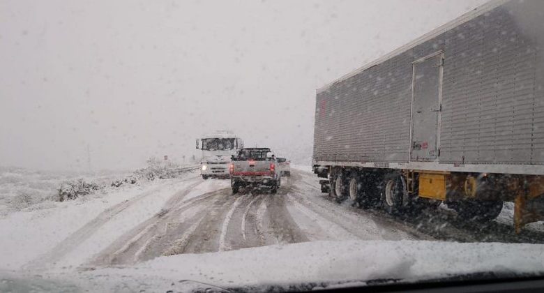 Ruta 151. Cerrada por acumulación de nieve entre Catriel y Sargento Vidal