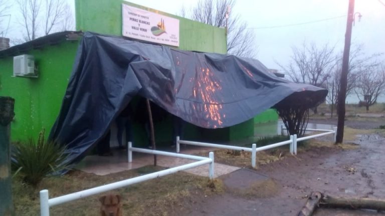 Vecinos de Peñas Blancas y Valle Verde piden la renuncia de la comisionada