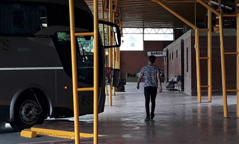 Los micros ya están autorizados a circular en La Pampa