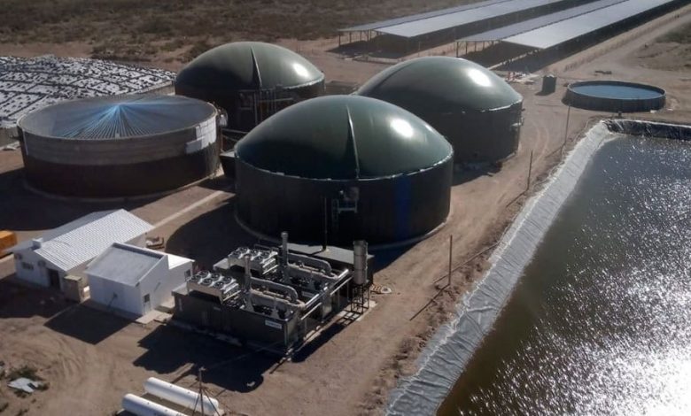 Proyecto en 25 de Mayo: agricultura, ganadería y producción de energía