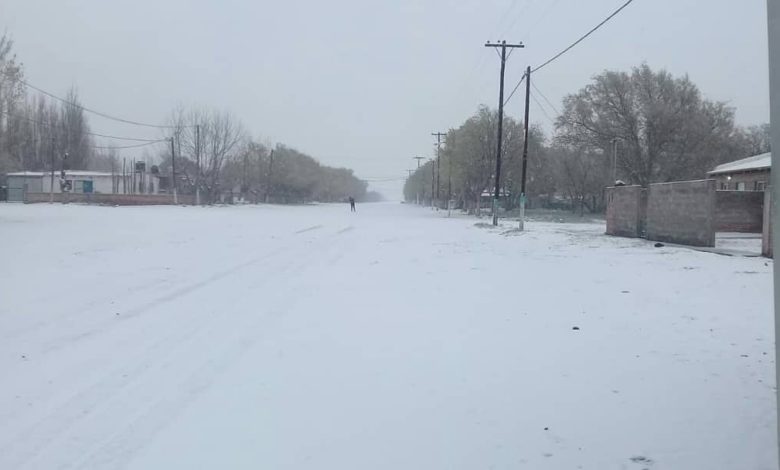 En plena primavera volvió a nevar en La Humada