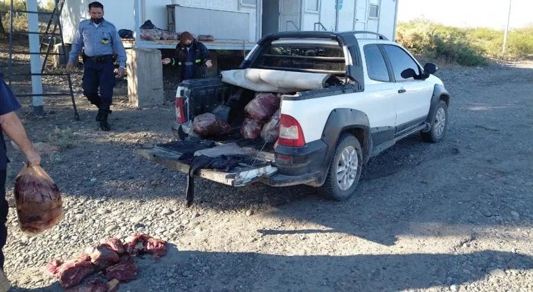 Quiso pasar de La Pampa a Río Negro con media tonelada de carne ilegal