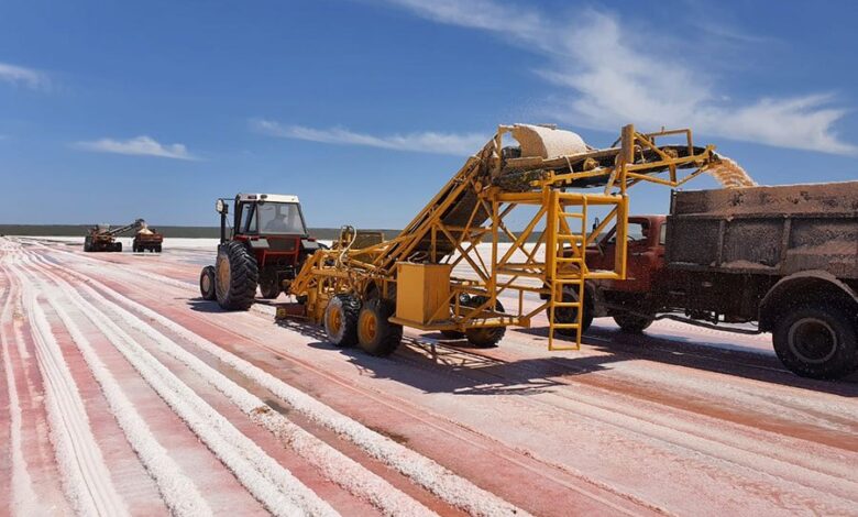 Una nueva salina ya está en producción en Puelches
