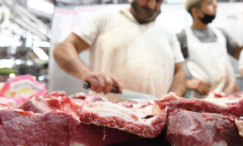 Se levanta la barrera sanitaria y llegará la carne con hueso a la Patagonia