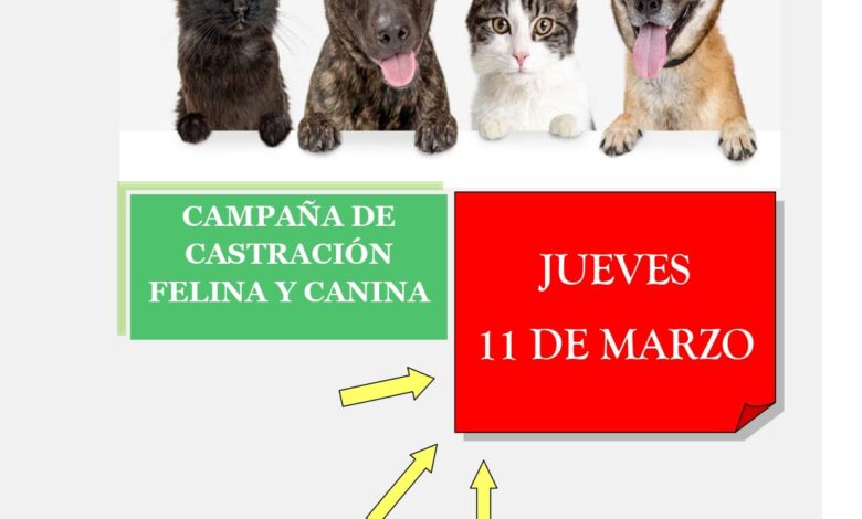 Puelén-Comenzó la campaña de esterilización de mascotas