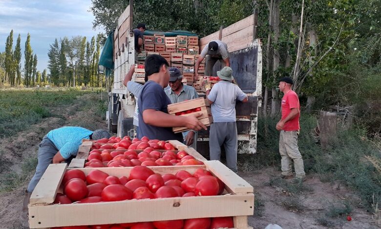 25 de Mayo: el EPRC acompañó logísticamente el trabajo de productores