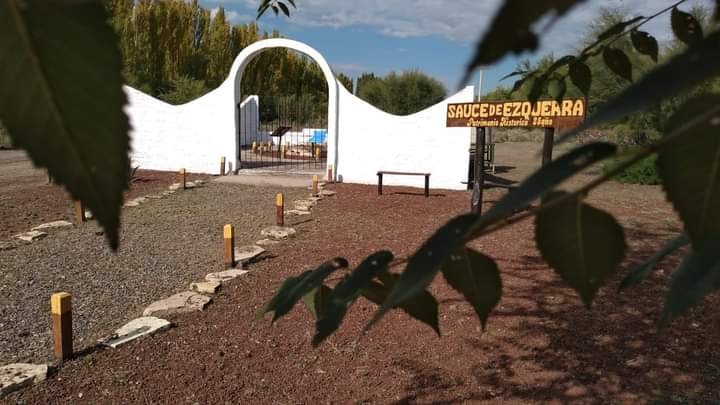 SAUCE EZQUERRA: UN ATRACTIVO TURÍSTICO Y LA VALORACIÓN DE UN ÍCONO HISTÓRICO