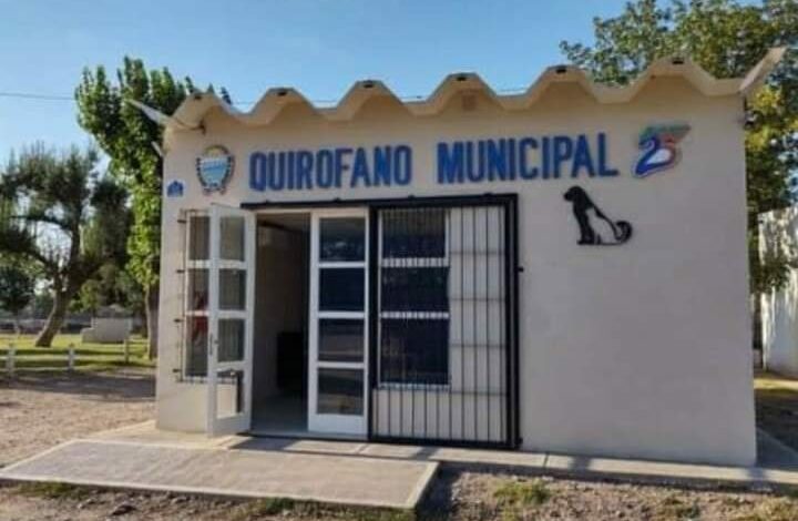 Municipio de 25 de Mayo suspende castración de mascotas