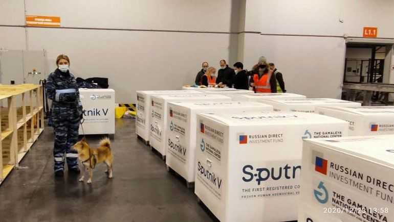 La Sputnik V genera anticuerpos contra la variante de Manaos