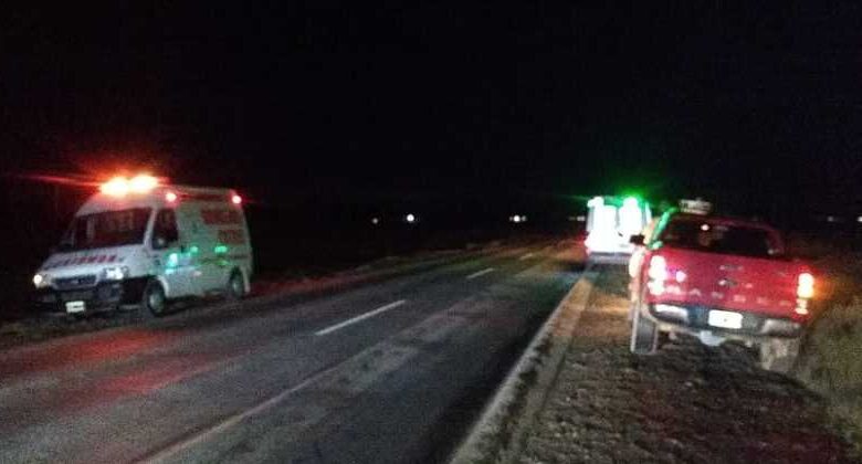 Ruta 151: camioneta chocó a un caballo cerca de Catriel