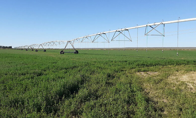 EPRC: «incesante crecimiento de la producción»