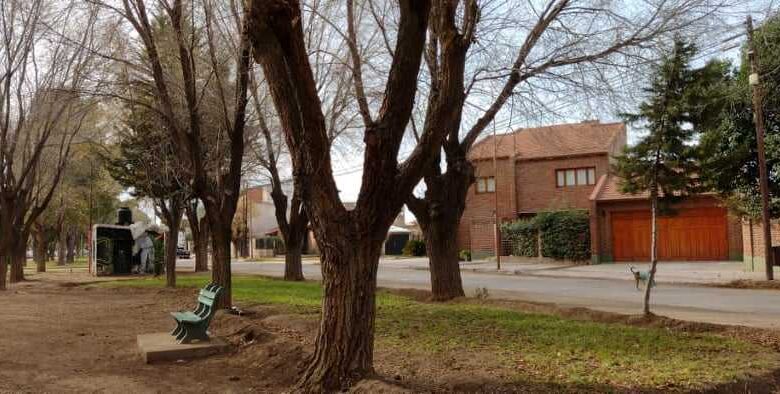 Catriel: vecinos salvaron a un joven ante intento de suicidio