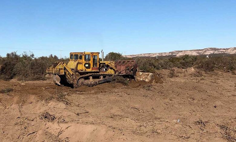 Casa de Piedra-Amplían playita sobre el río Colorado para la temporada de verano