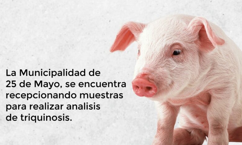 RECOMENDACIÓN PARA LA PREVENCIÓN DE LA TRIQUINOSIS