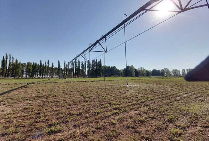 El EPRC usó la mitad del agua para riego en 25 de Mayo