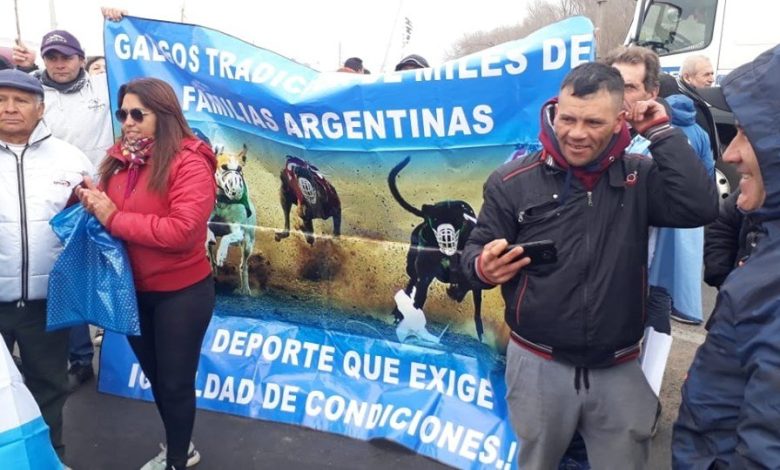 Advierten la «crueldad» de la industria galguera y repudian reclamo