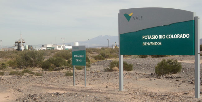 Potasio: dos firmas internacionales cotizan para buscar inversores