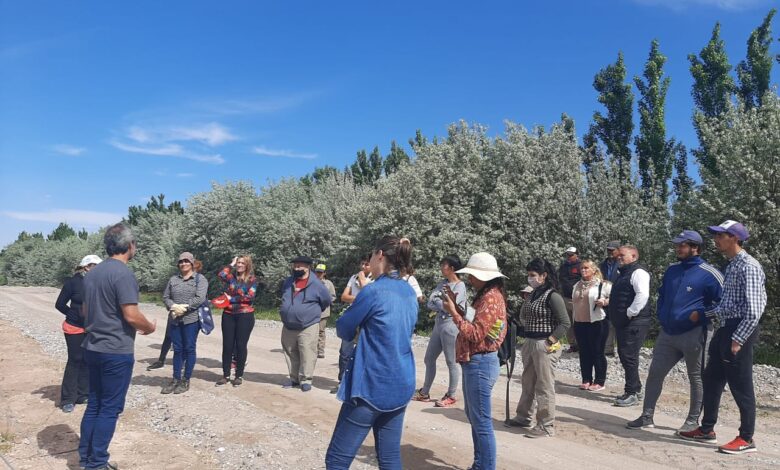 Capacitan sobre plantación y manejo de viñedos